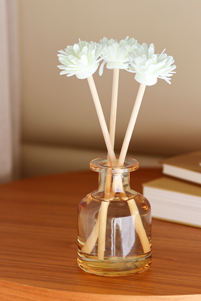 electric Charger electric Charger